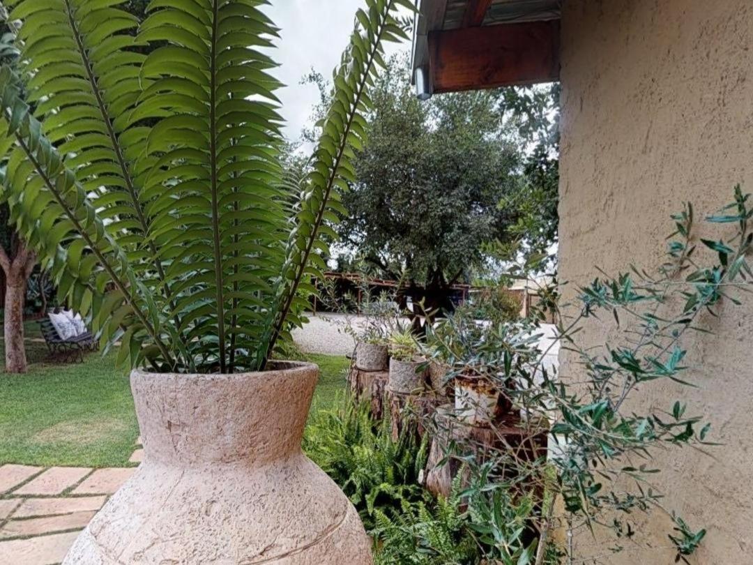 Cradle Valley Boutique Guesthouse 물더스드리프트 외부 사진