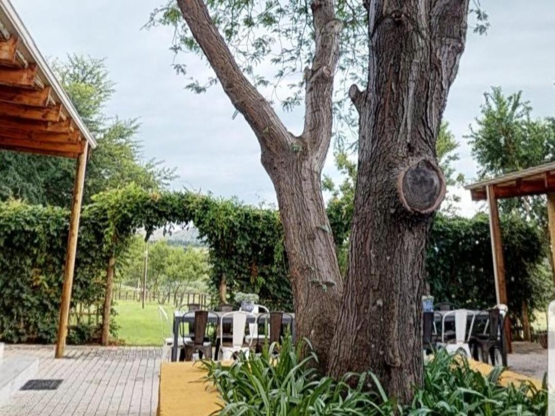 Cradle Valley Boutique Guesthouse 물더스드리프트 외부 사진
