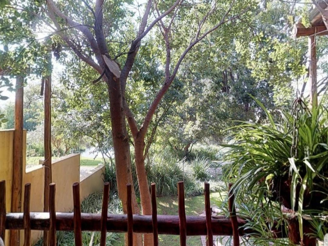 Cradle Valley Boutique Guesthouse 물더스드리프트 외부 사진